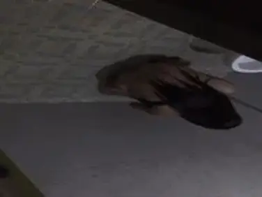 Dokumentasi Gadis Cantik Di Kamar Mandi Kasur